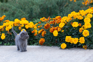 Similar image 21187526