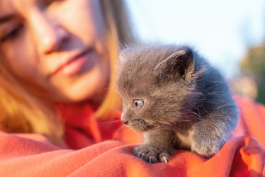 Similar image 21202224