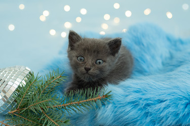 Similar image 21202227