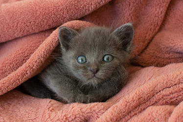 Similar image 21202234