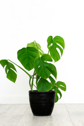 Similar image 21202242