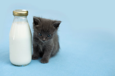 Similar image 21202349