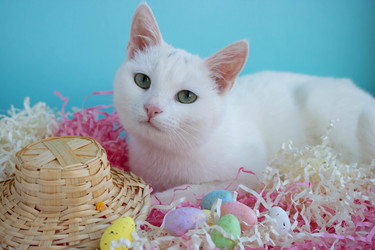 Similar image 21172604