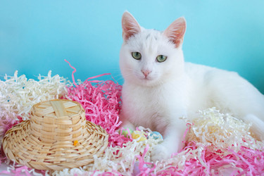 Similar image 21172605