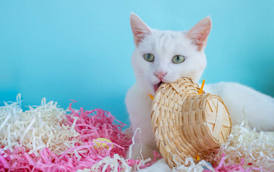 Similar image 21172607