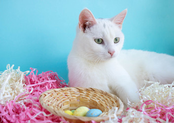 Similar image 21172608