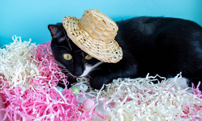 Similar image 21172609