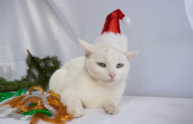 Similar image 21172613