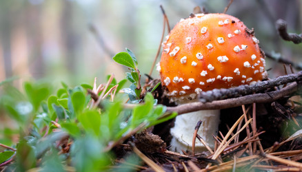 Similar image 21172624