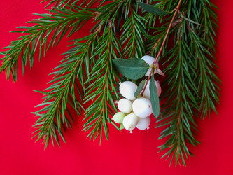 Similar image 21172631