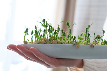 Similar image 21202259