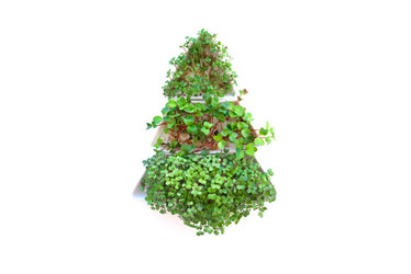 Similar image 21202267