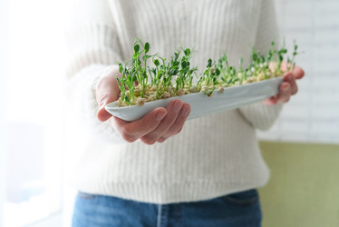 Similar image 21202271