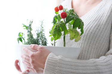 Similar image 21202355