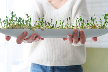 Similar image 21202358