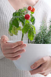 Similar image 21202360