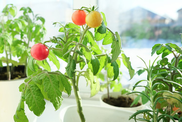 Similar image 21202362