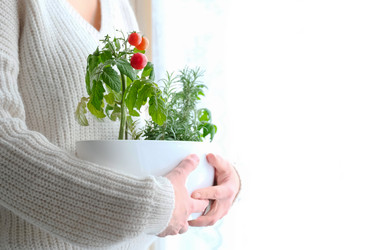 Similar image 21202363