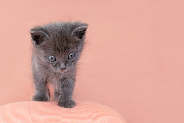 Similar image 21202276