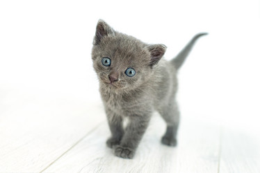 Similar image 21202370