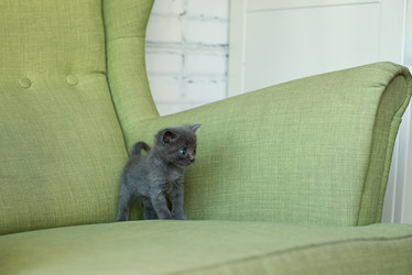 Similar image 21202374