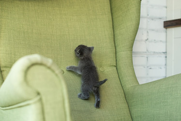 Similar image 21202378