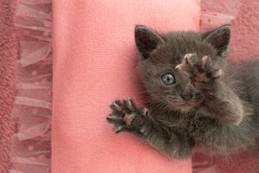 Similar image 21202379