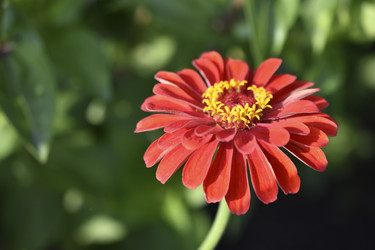 Similar image 21181682