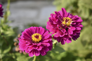 Similar image 21181684