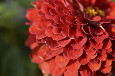 Similar image 21187378