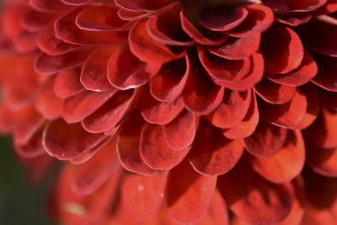 Similar image 21187380