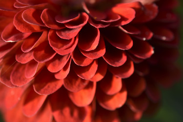 Similar image 21187382