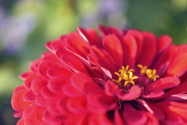 Similar image 21187386