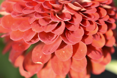 Similar image 21187388