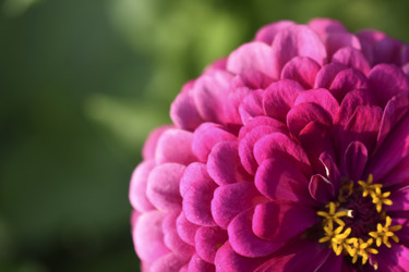 Similar image 21187392