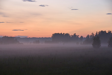 Similar image 21187393