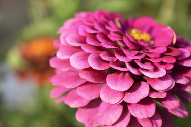 Similar image 21187394