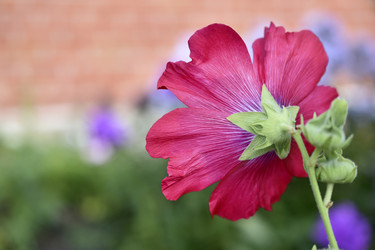 Similar image 21187396