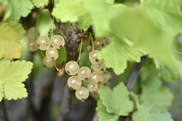 Similar image 21187398