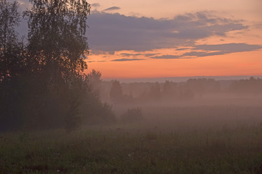 Similar image 21187399