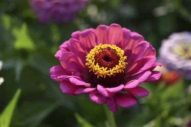 Similar image 21187402