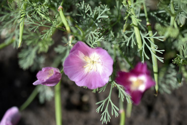 Similar image 21187432