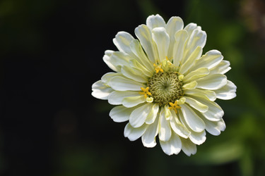 Similar image 21187433