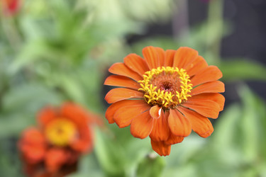 Similar image 21187435