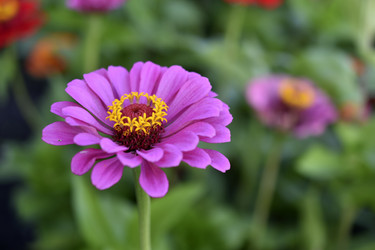 Similar image 21187438