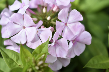 Similar image 21187440