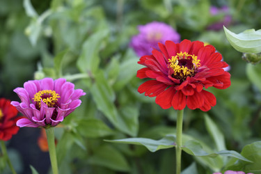 Similar image 21194333