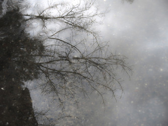 Similar image 21172642