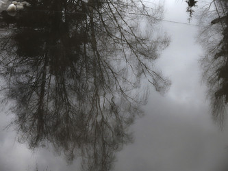 Similar image 21172643