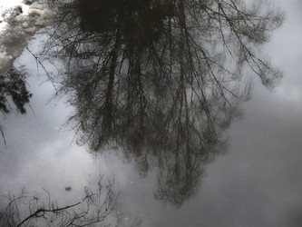 Similar image 21172644